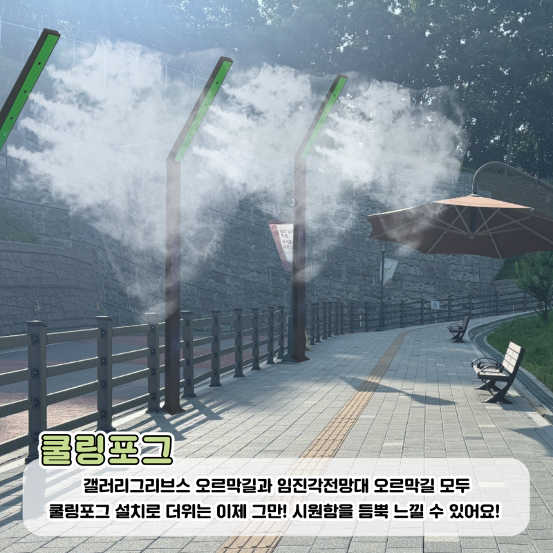 COOL Summer (1).png