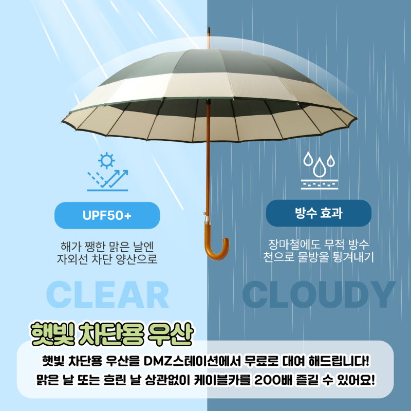 COOL Summer (3).png