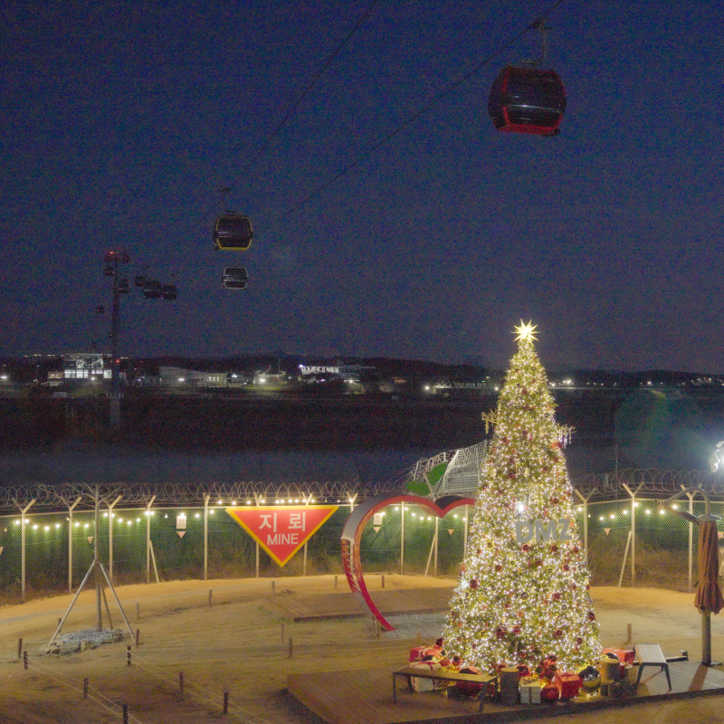 DSC03353.png
